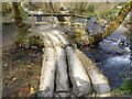 Ladyvale Bridge in Cardinham Woods