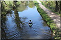 Canoe on Mon & Brec Canal