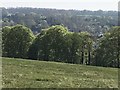 Trees on Side Hill, Newmarket