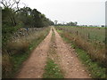 Track to Kettleshiel in the Lammermuirs