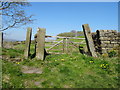 Footpath off Barkerhouse Road,  Nelson