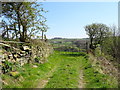 Field entrance off Southfield Lane, Catlow