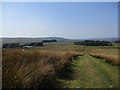 Track on Cairnsaigh Hill