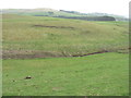 The Biggar Burn at Cocklaw