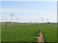 Path through Butterwick Moor Wind Farm, near Sedgefield