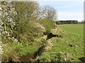 Ditch near Sedgefield