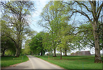 SP4216 : Road to Park Farm by Des Blenkinsopp