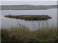 SE3927 : Small island, Main lake, RSPB St Aidan's by Christine Johnstone
