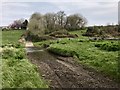 River Carew Ford