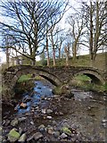 SD9339 : The pack horse bridge over Wycoller Beck by Steve Daniels