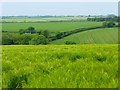 Farmland, Veryan