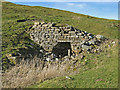 Old lime kiln at New Meadows (2)