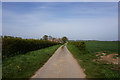 Barbriggs Lane towards Brougham Hill