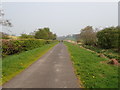 View North along the Newry Canal towpath between Poyntzpass and Scarva