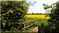 Looking towards Upton