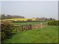 Traffic travelling South along the Tandragee Road