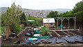 Allotment with view across the Loxley Valley