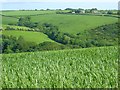 Farmland, St Ewe