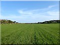 Harbour Field Recreation Ground, Winchelsea Beach