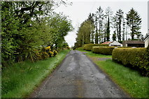 H5073 : Hillfoot Road, Killycurragh by Kenneth  Allen