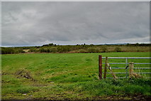 H5073 : An open field, Ballynamullan by Kenneth  Allen