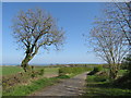 Country lane near Ryhope