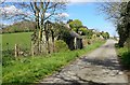 Derelict cottage on the Old Road