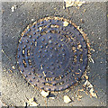 TQ3371 : Round cast iron inspection cover, Farquhar Road, Upper Norwood, southeast London by Robin Stott