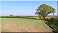 Shropshire farmland near Whiston Cross