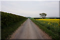 Lane leading towards the A1173