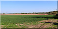 Shropshire farmland north of Patshull Hall