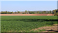 Shropshire cropfields west of Bishton Manor