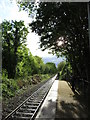 Afternoon sun on the railway line at Birchgrove station