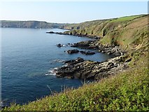 SW7924 : The coast north of Porthallow by Philip Halling