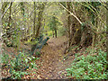 Bridleway towards Walton Downs