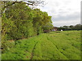 Footpath on Field Boundary, Near Sudbury