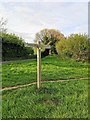 South Downs Way Sign at Junction with Lullington Road