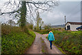 East Devon : Track