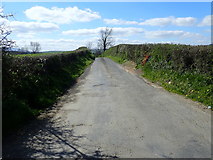 J0735 : The NE end of Ballylough Road by Eric Jones