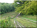 Path towards Nut Wood