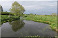 River Nene