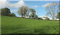 Meadow, Lower Elsford