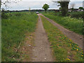 Looking North on Peddars Way