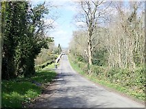 J0735 : Approaching former estate workers' cottages on the Drumantine Road by Eric Jones
