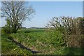 Farmland south of Hagg Wood