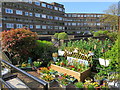 Apartments, Brentford Dock