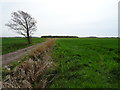 Drain beside farm track, Great Altcar