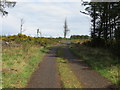 Track leading into Rashielea Wood