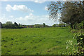 Field near Broadmead