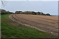 SW9642 : Potato field near St Michael Caerhays by Simon Mortimer